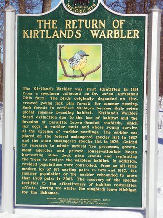The Return of Kirtland's Warbler Historical Marker